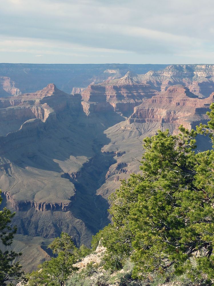 grand canyon rive sud (106).JPG